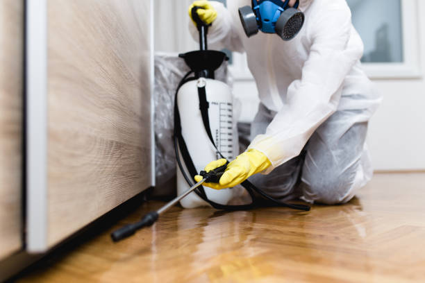 Best Emergency Pest Control  in Bray, OK