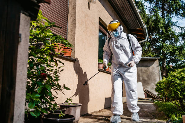 Best Local Pest Control Services  in Bray, OK