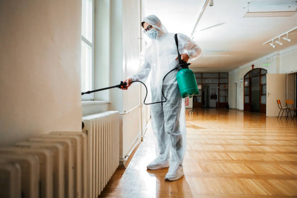 Best Wasp Removal Services  in Bray, OK